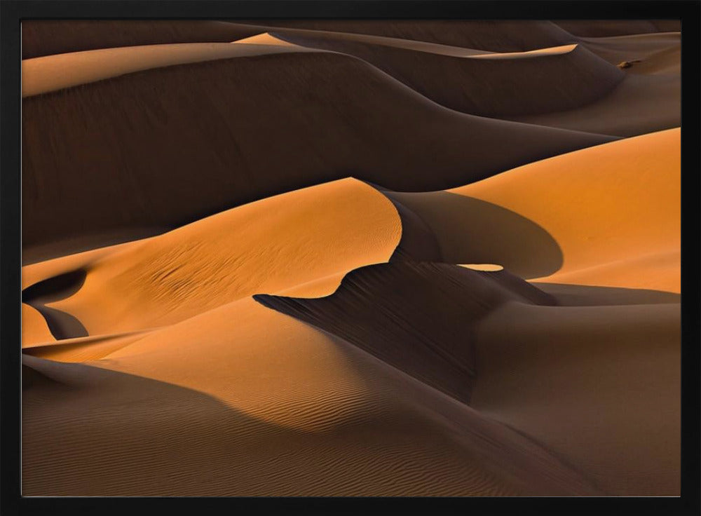 Morning Light | Poster