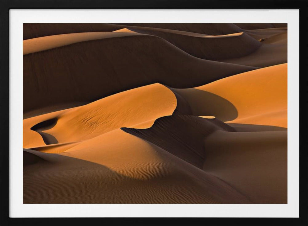 Morning Light | Poster