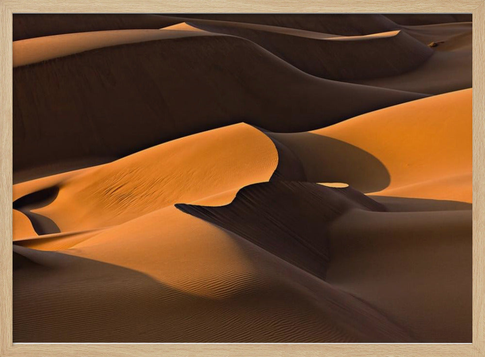 Morning Light | Poster