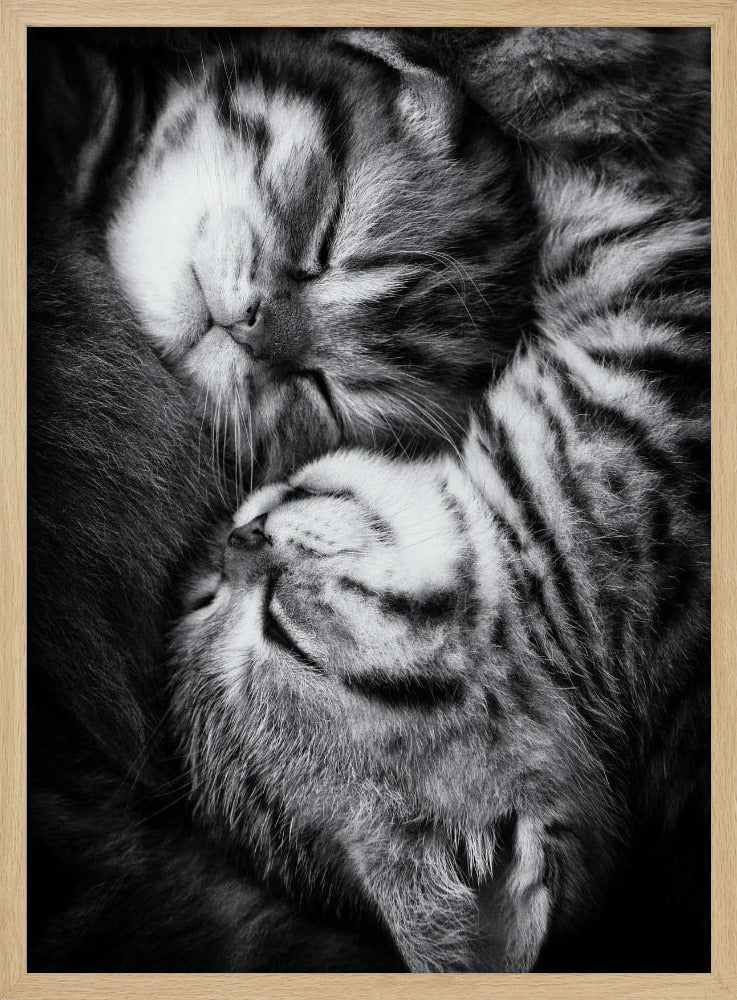 Yin and Yang | Poster