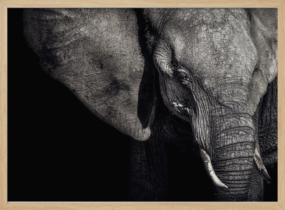 The Matriarch | Poster