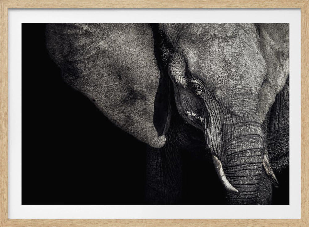 The Matriarch | Poster