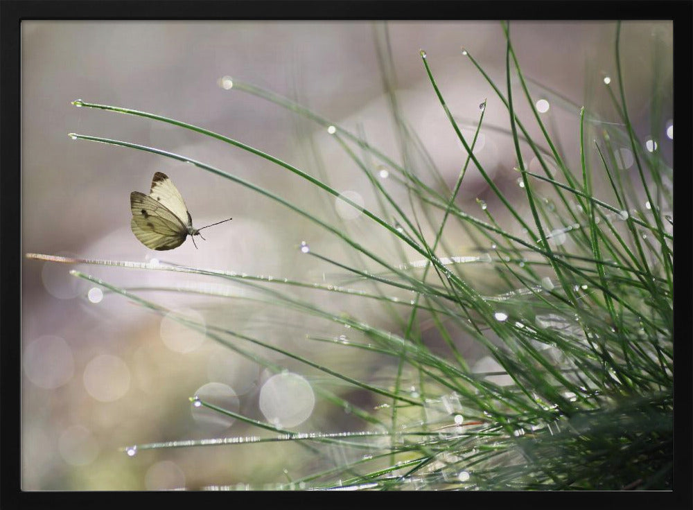 Imminent Landing | Poster