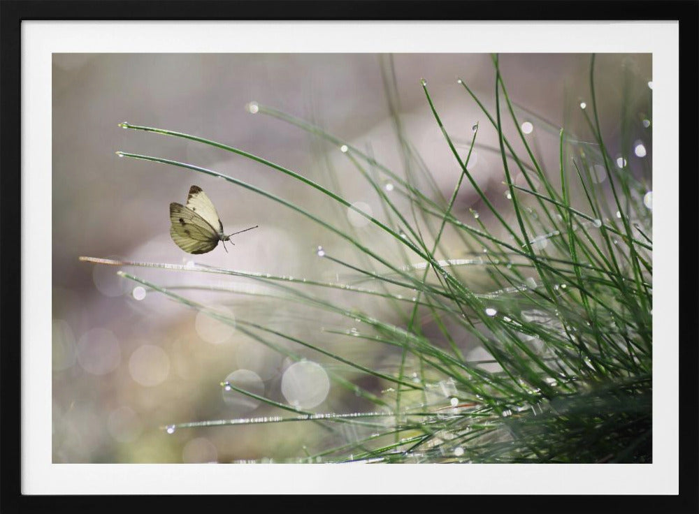 Imminent Landing | Poster