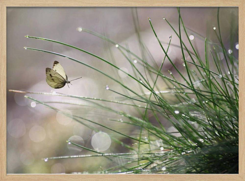 Imminent Landing | Poster