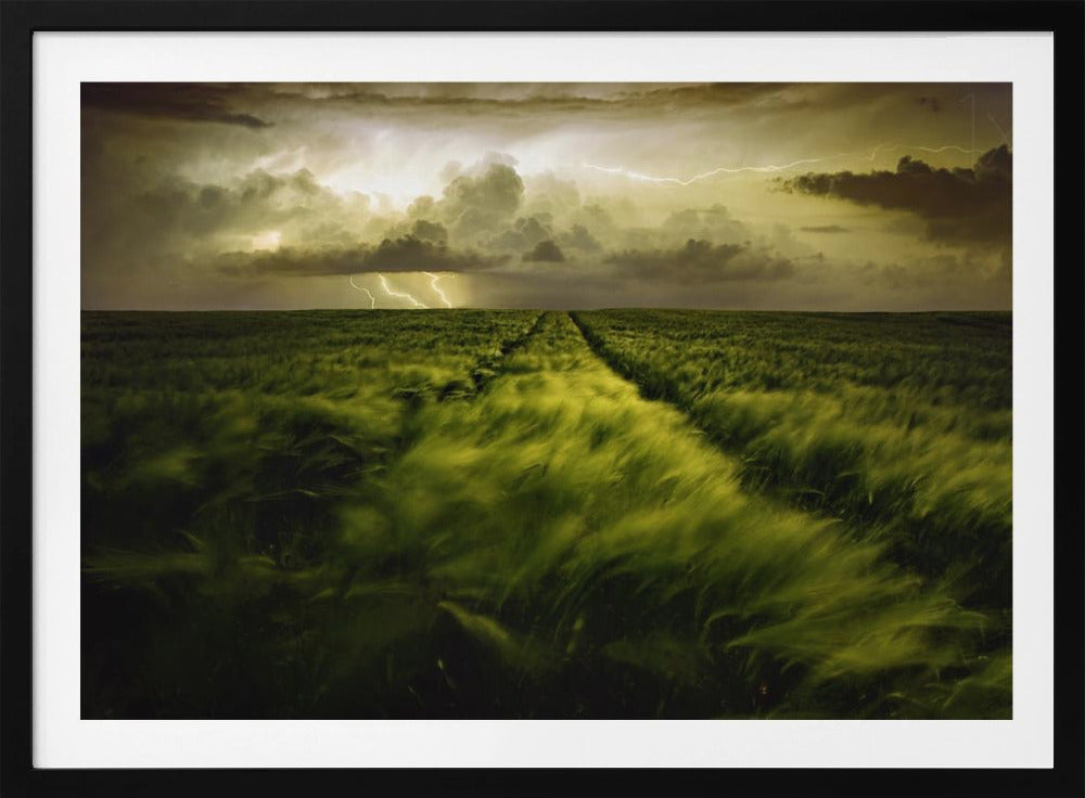 Journey to the Fierce Storm | Poster