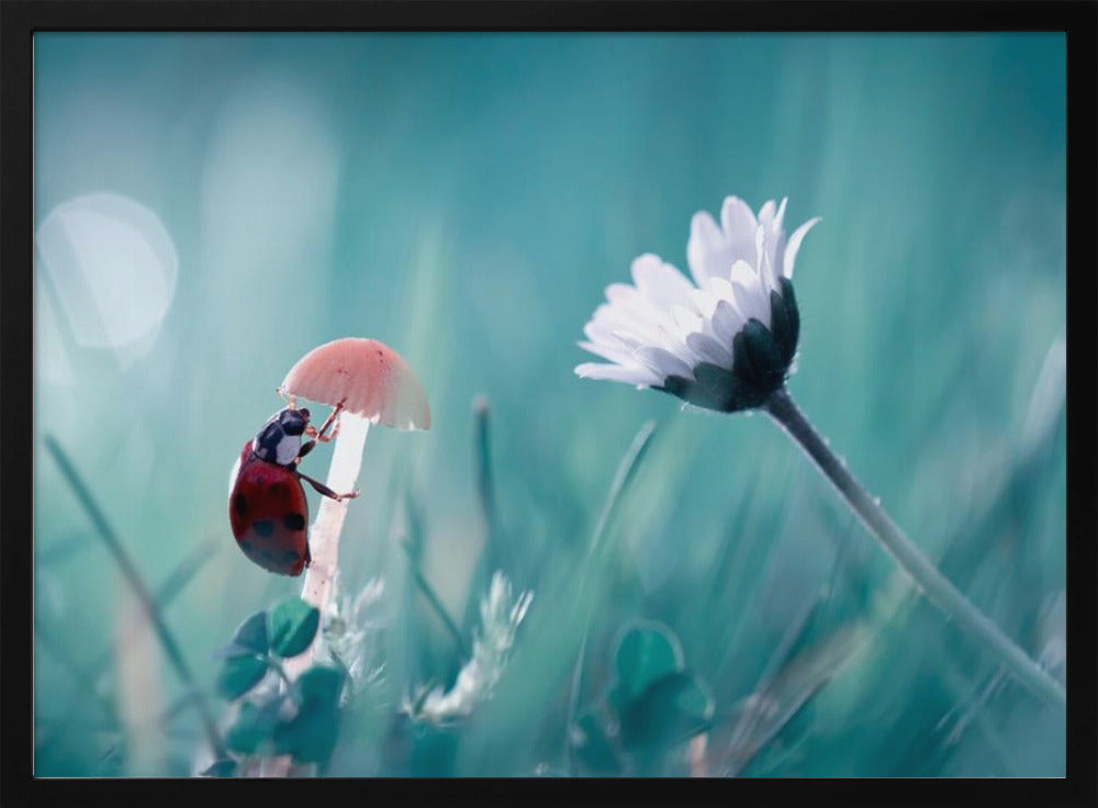 Speed dating | Poster