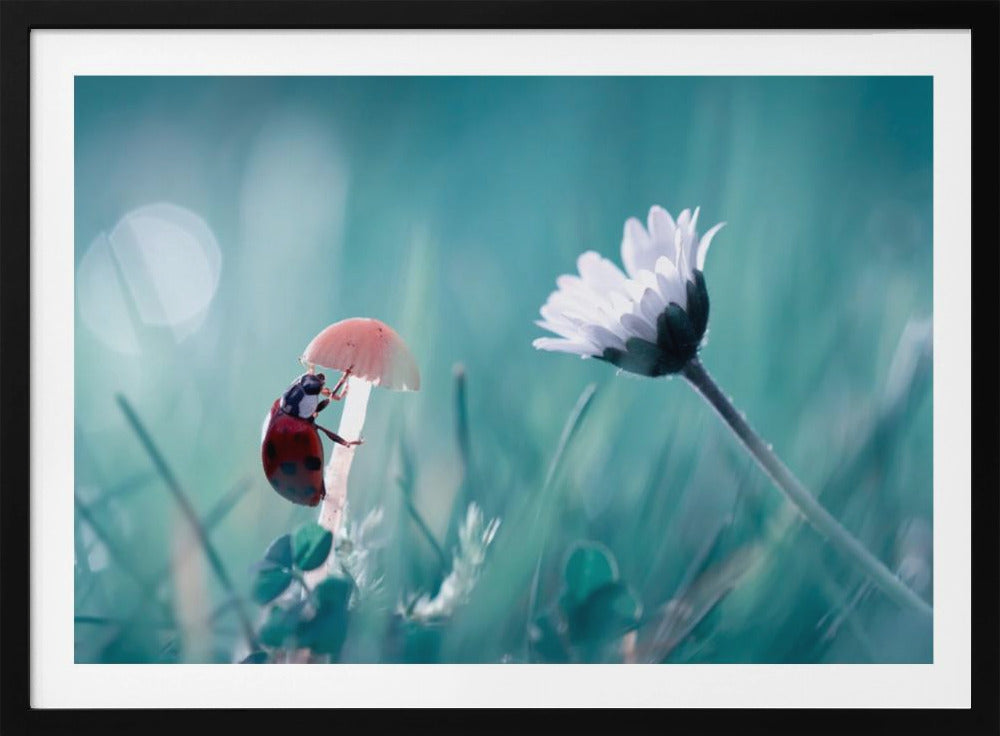 Speed dating | Poster