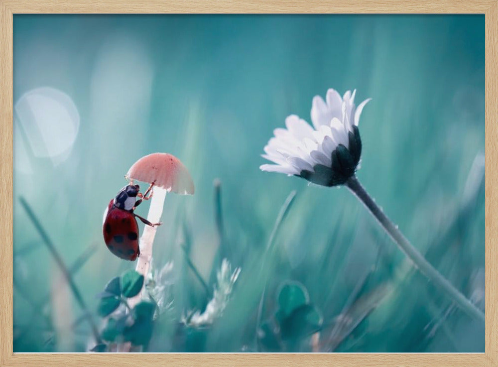 Speed dating | Poster