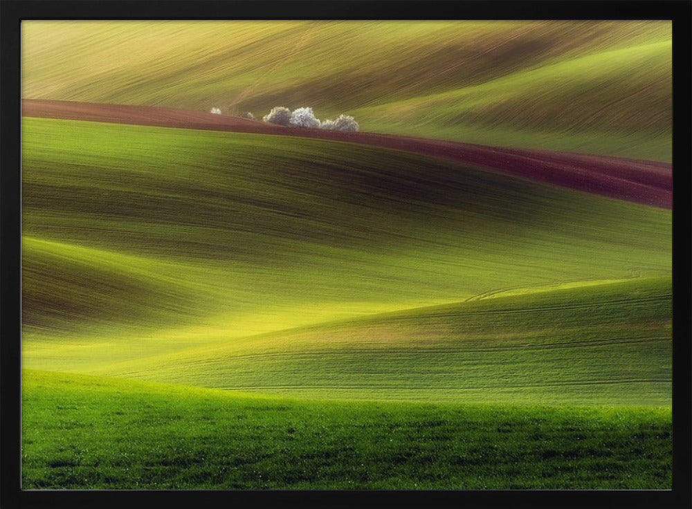 Golden fields | Poster