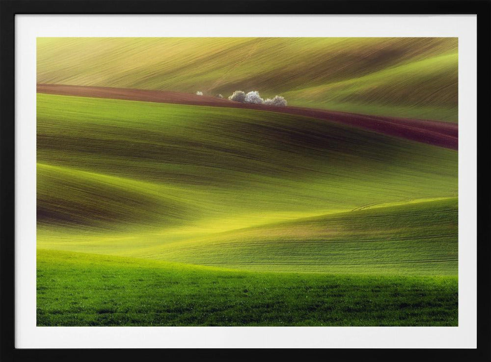 Golden fields | Poster