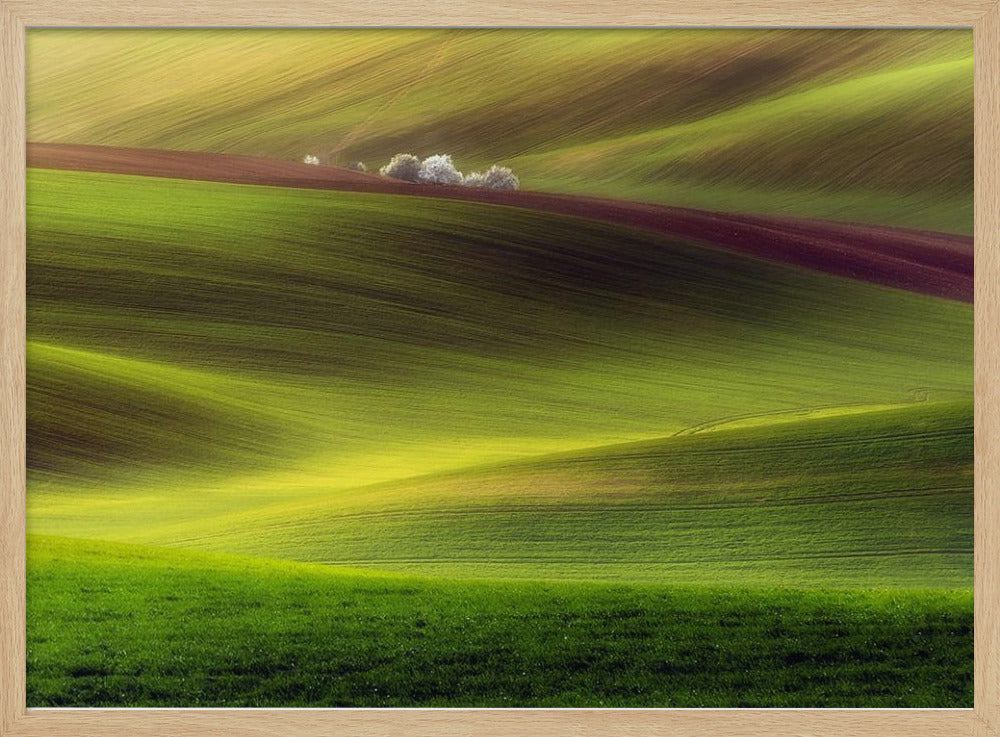 Golden fields | Poster