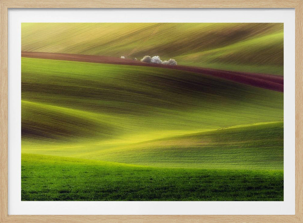 Golden fields | Poster