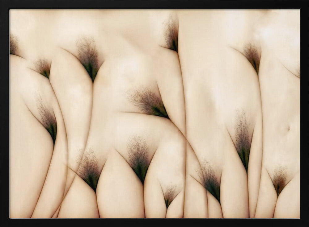 vaginae terram | Poster