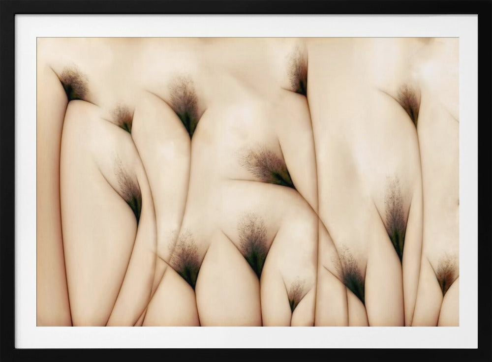 vaginae terram | Poster