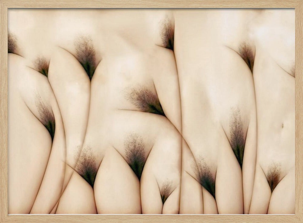 vaginae terram | Poster