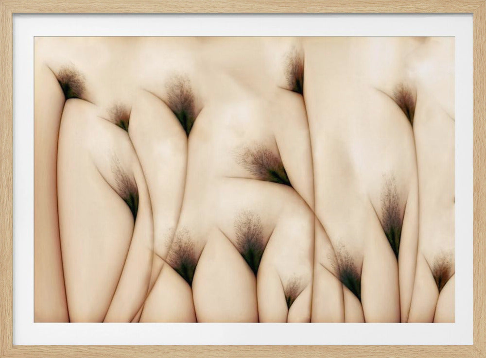 vaginae terram | Poster