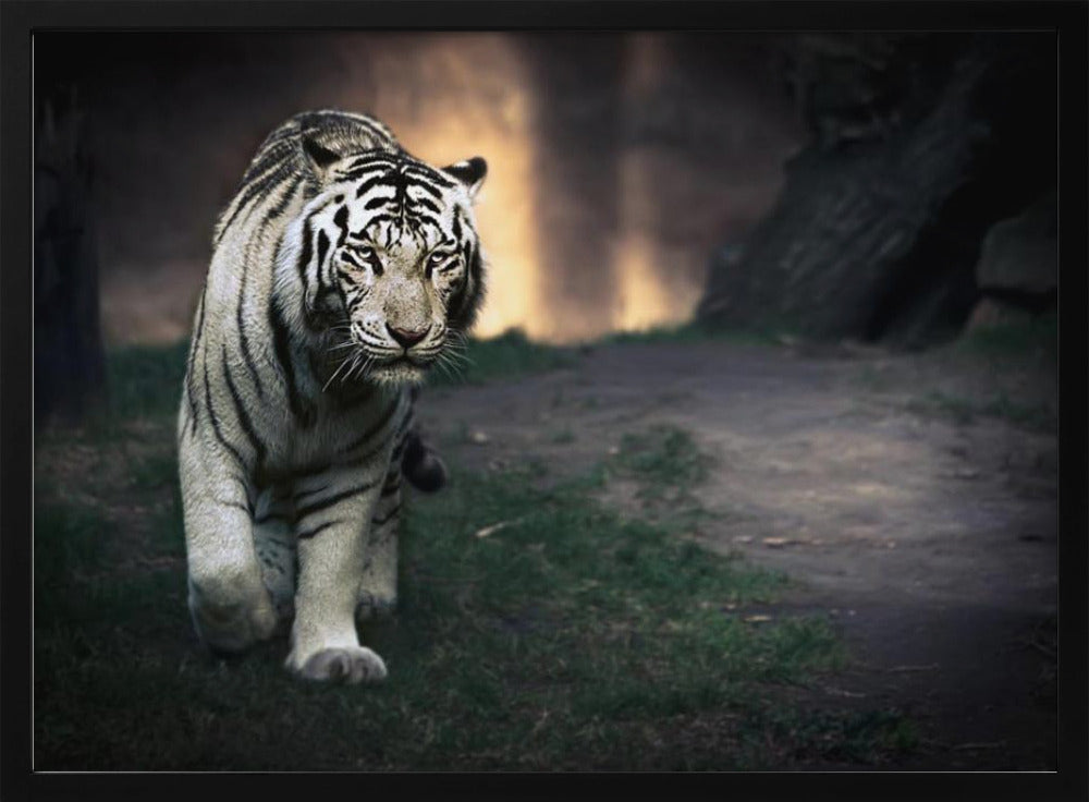 White walker | Poster