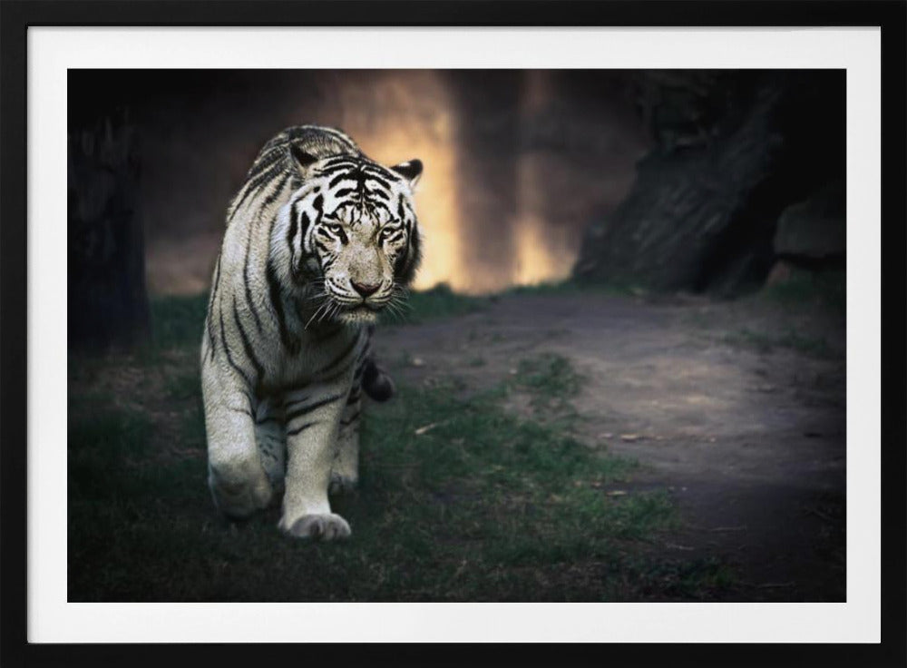 White walker | Poster