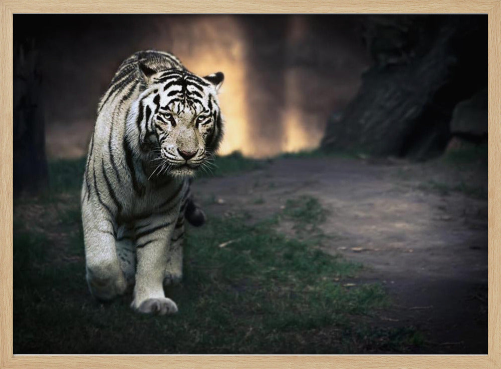 White walker | Poster