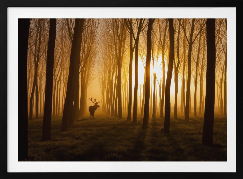 Once Upon a Time | Poster