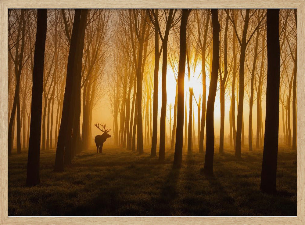 Once Upon a Time | Poster