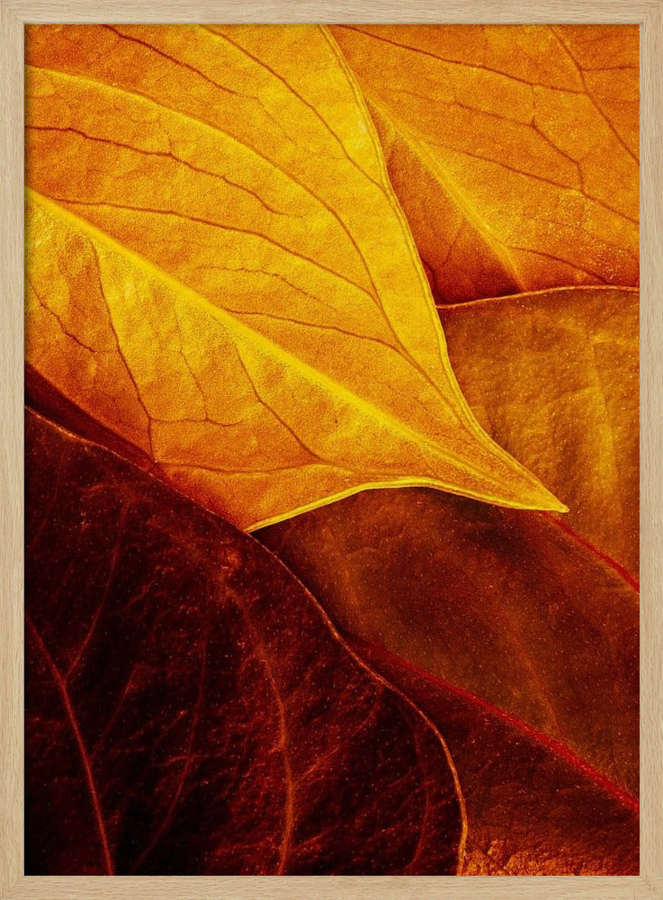 Leaves | Poster