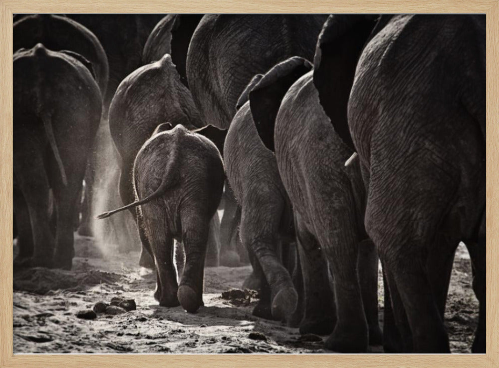 Walking Home | Poster