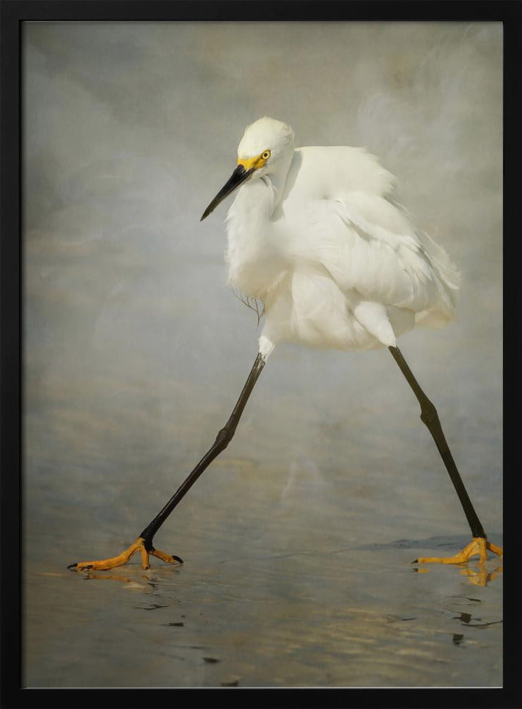 The Rock Star | Poster