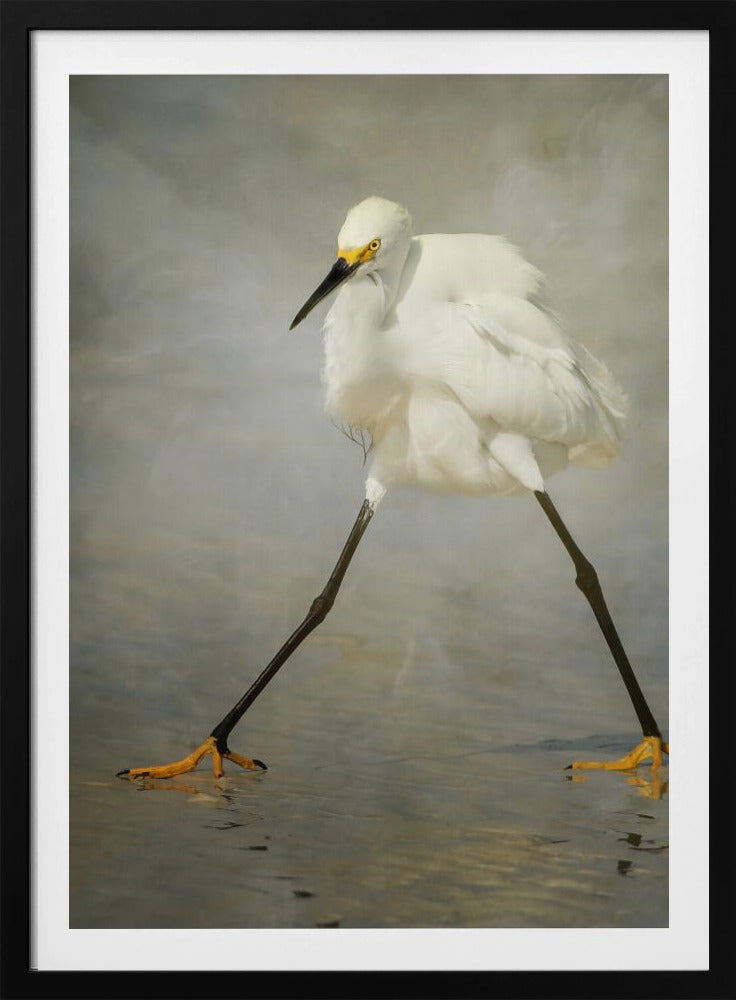 The Rock Star | Poster