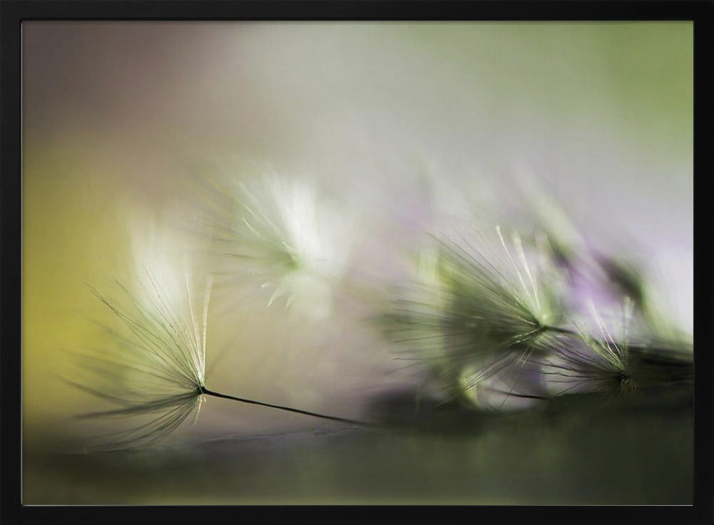 In the morning | Poster