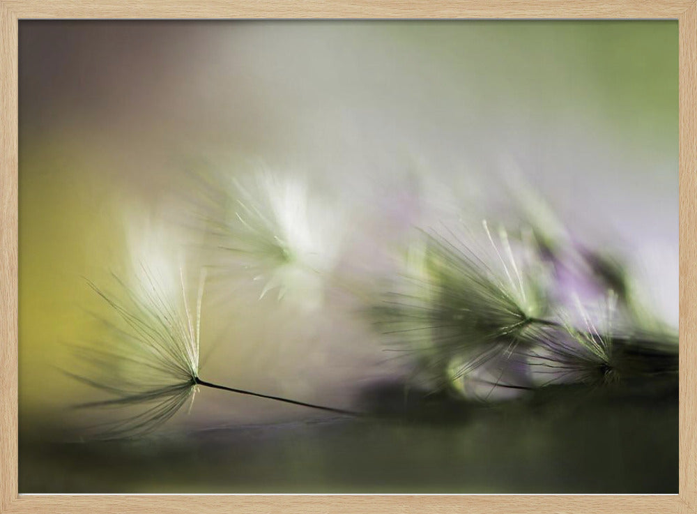 In the morning | Poster