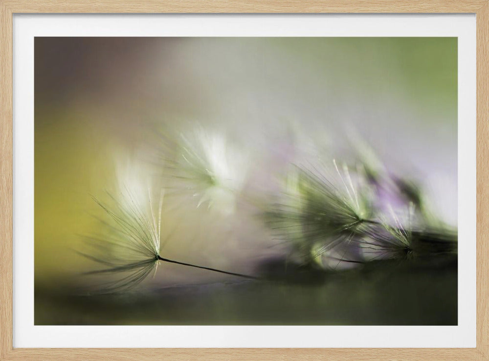 In the morning | Poster