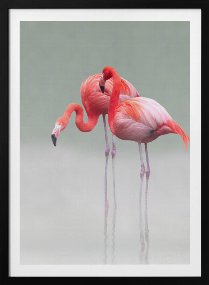 just we two ... | Poster