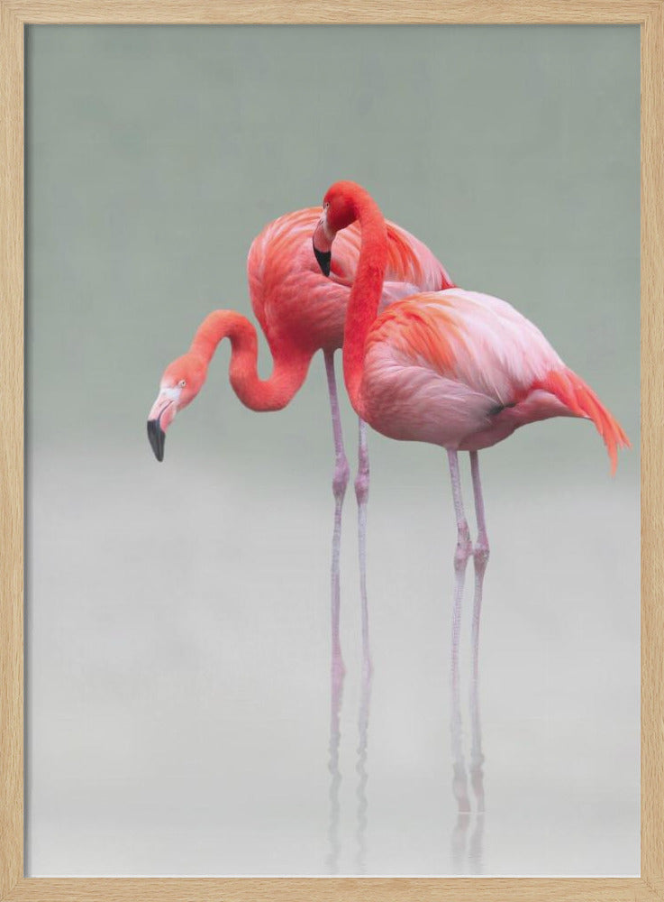 just we two ... | Poster