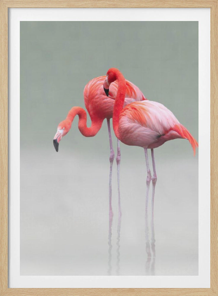 just we two ... | Poster