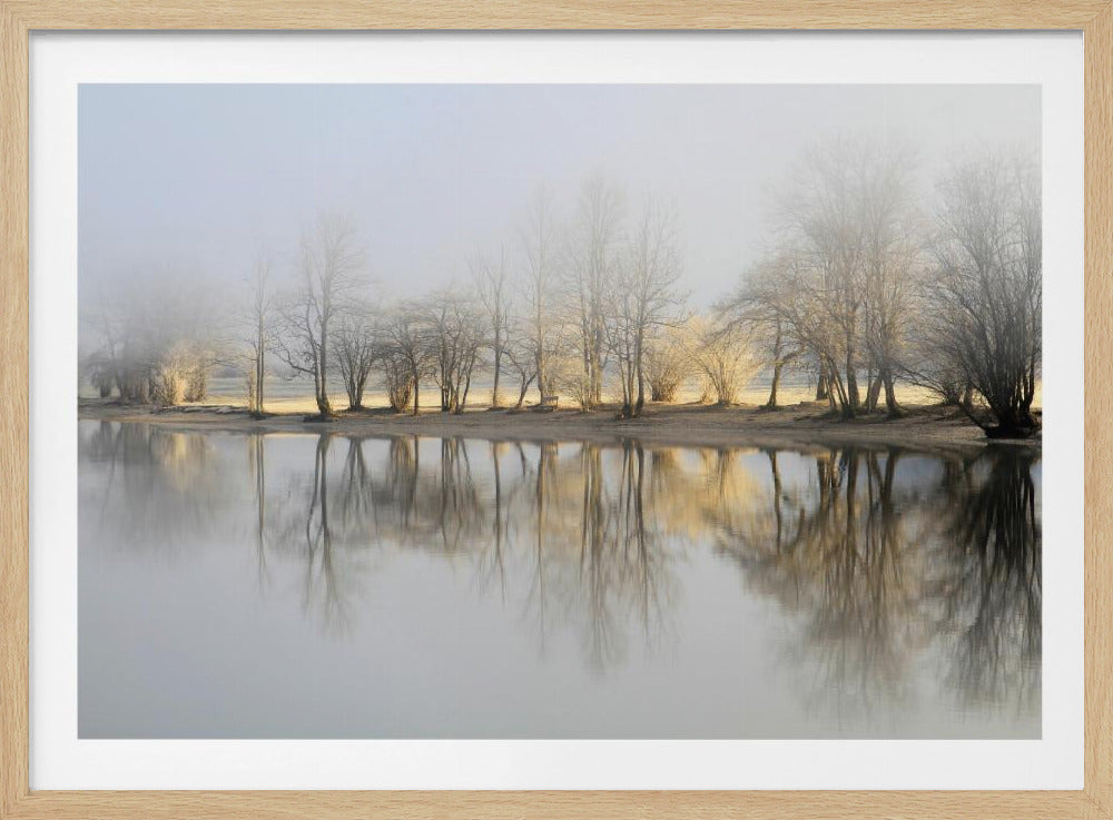 january morning | Poster