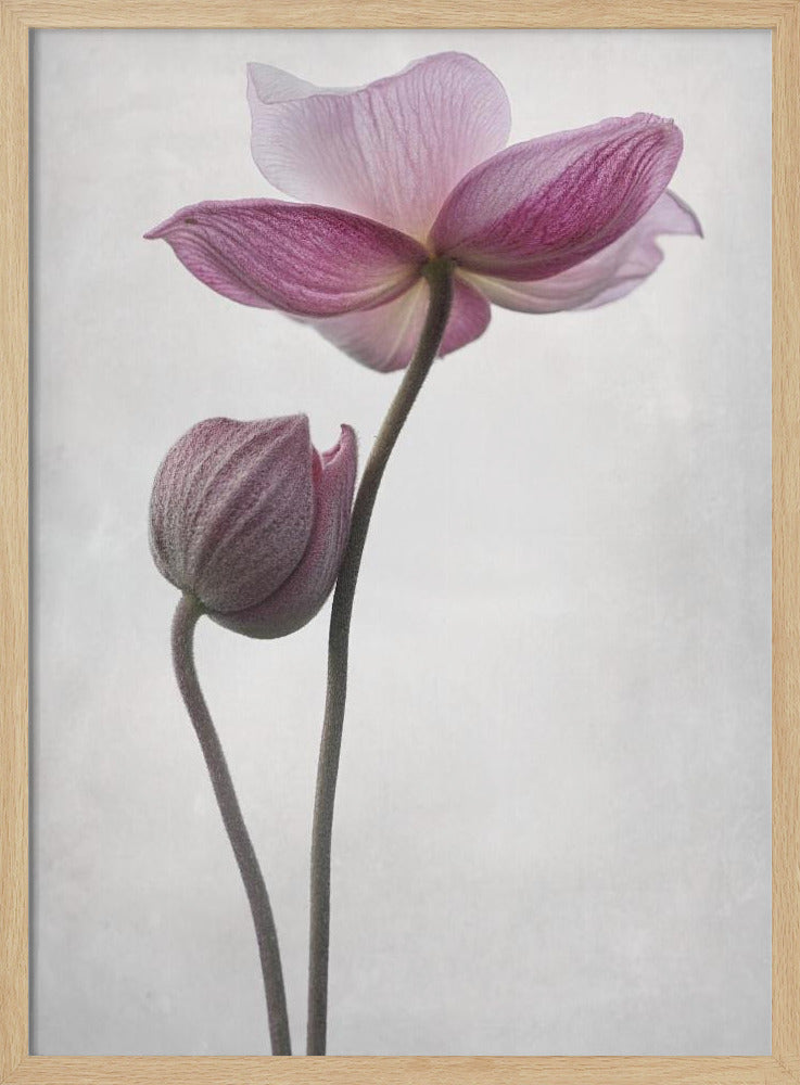 A Little Touch | Poster