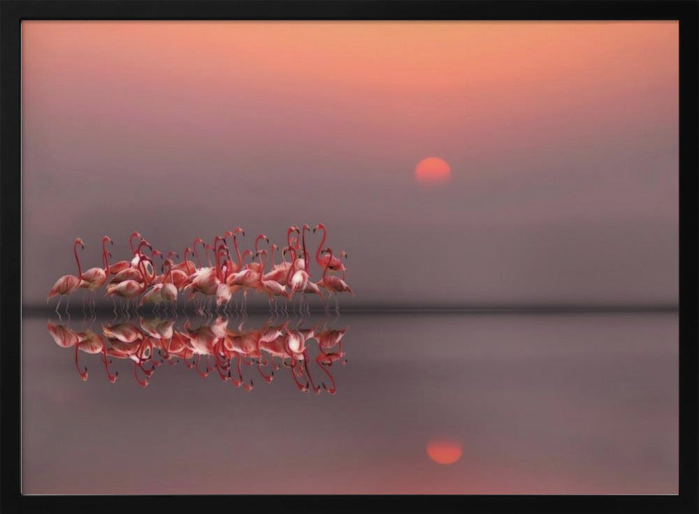 purple sunset | Poster