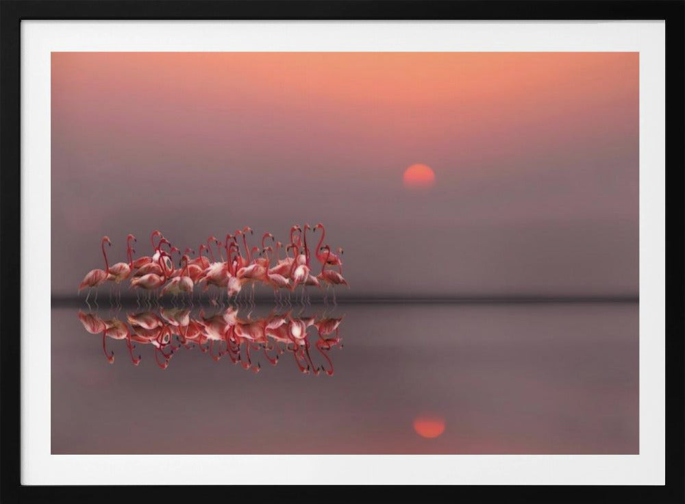 purple sunset | Poster