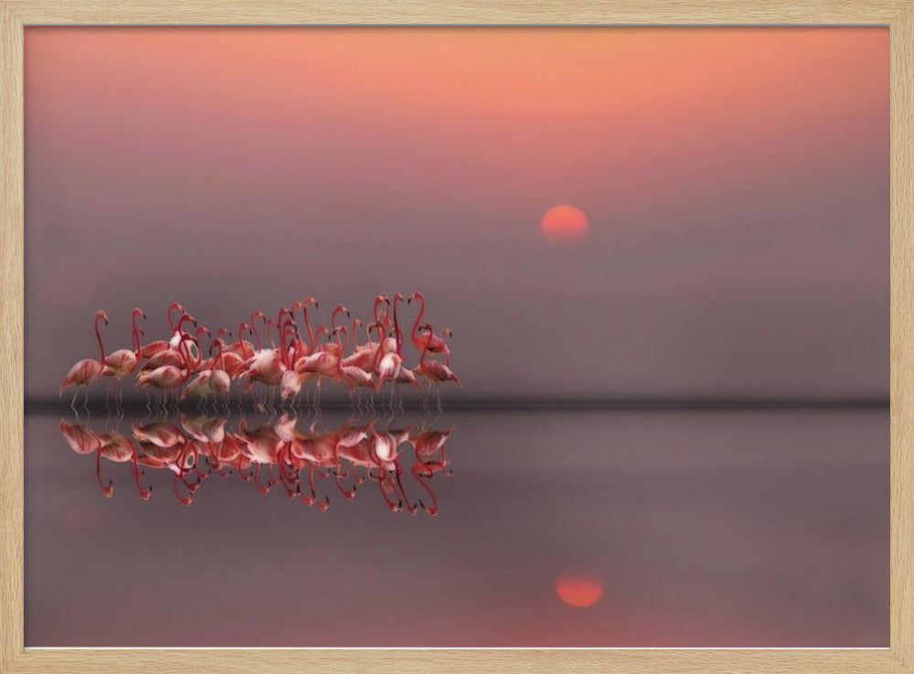 purple sunset | Poster