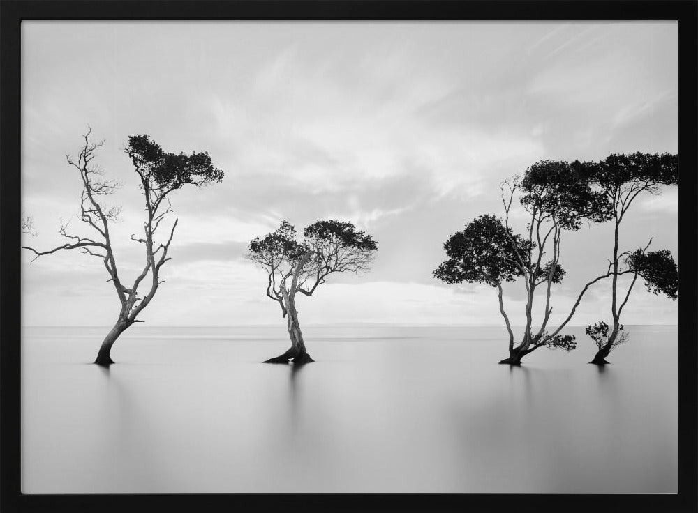 Drowning Not Waving | Poster