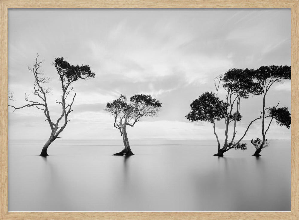 Drowning Not Waving | Poster