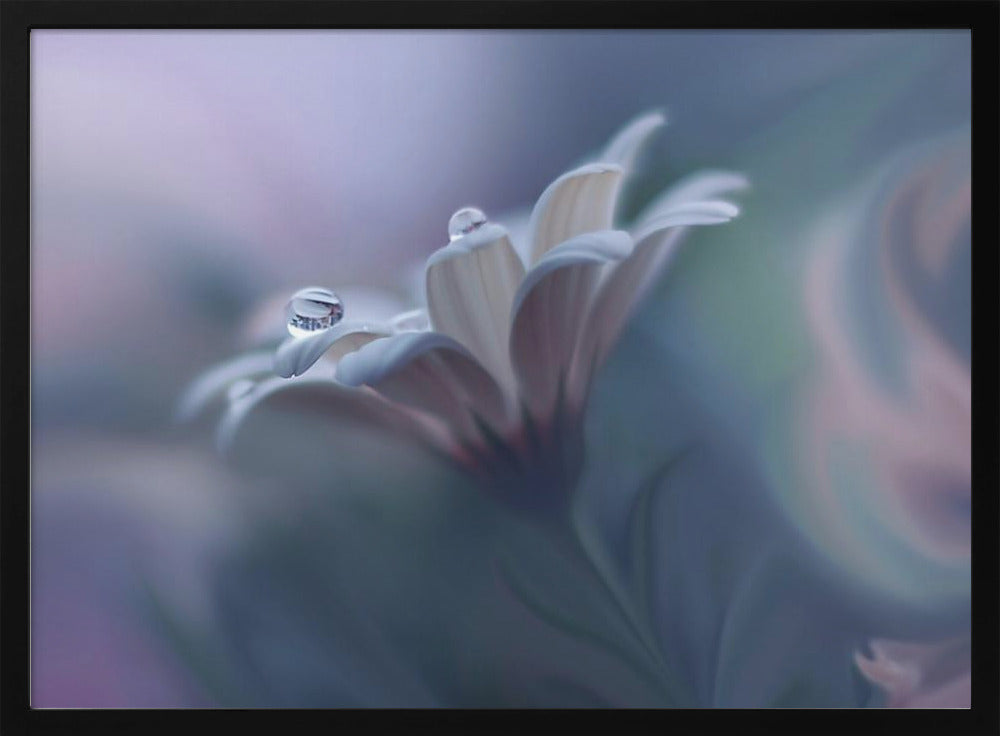 Behind Closed Eyes... | Poster