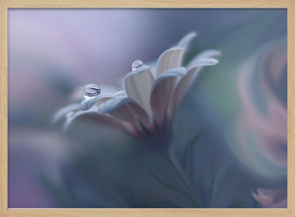 Behind Closed Eyes... | Poster