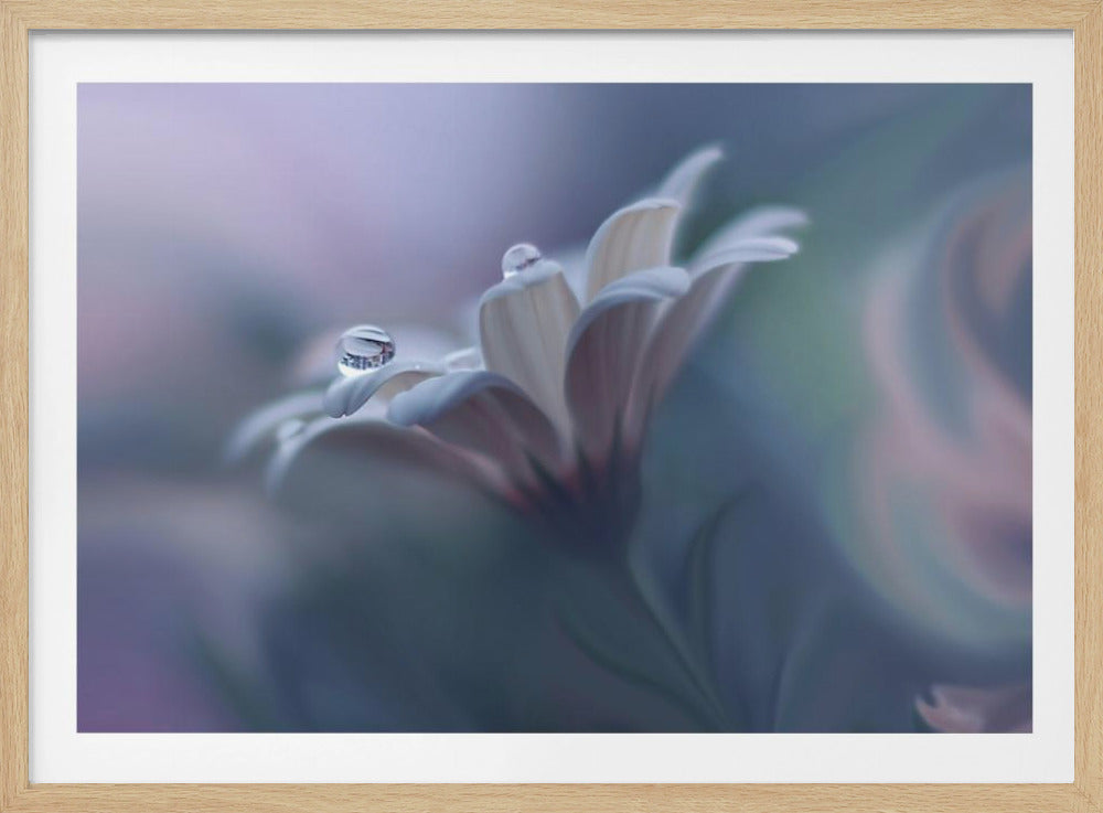 Behind Closed Eyes... | Poster