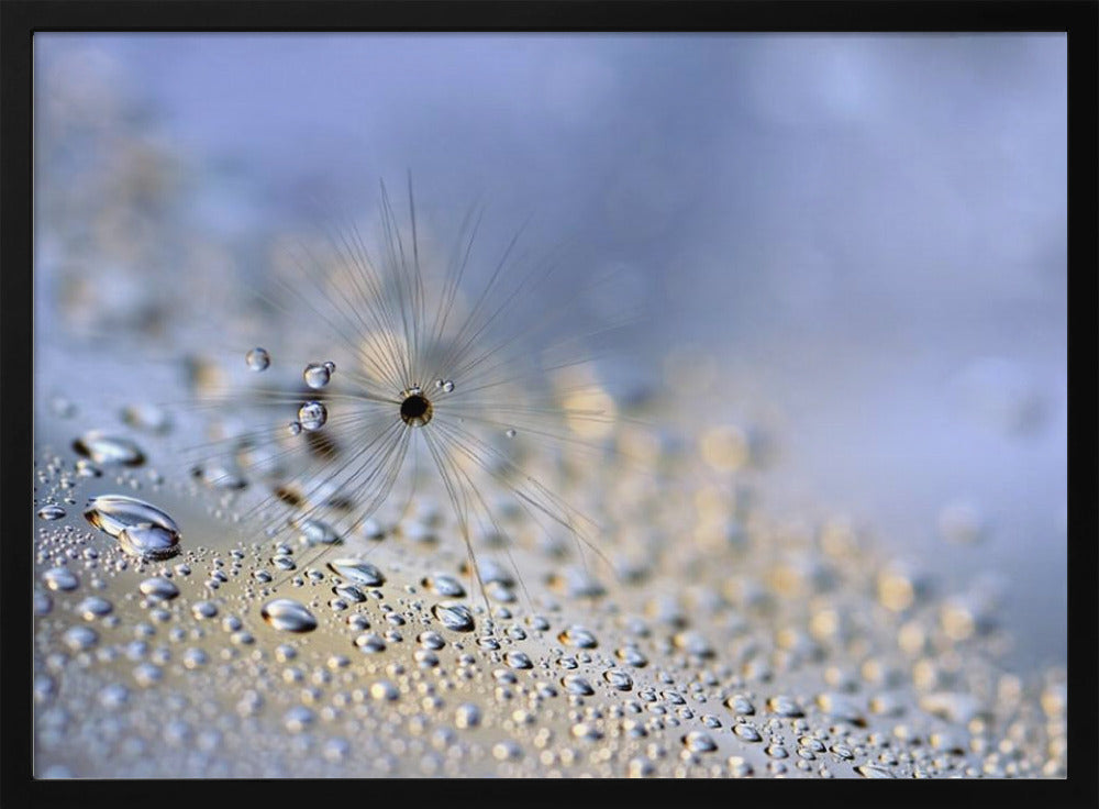 Crawling down | Poster