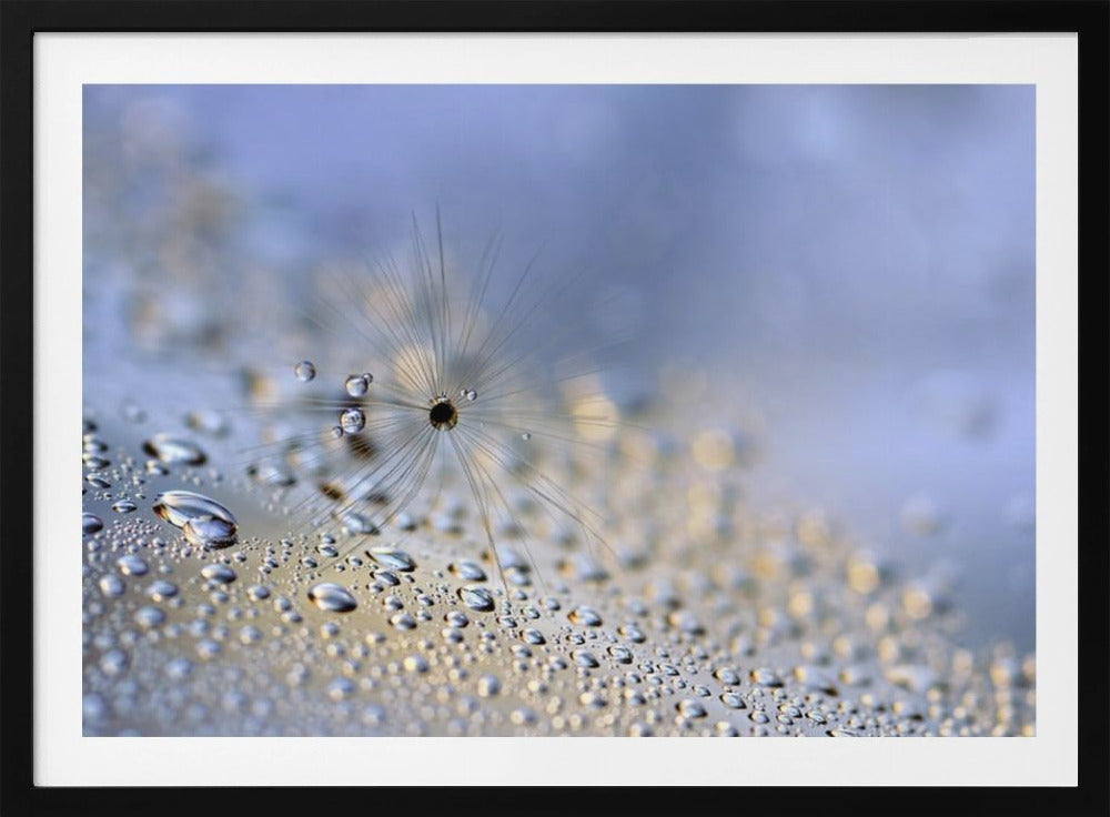 Crawling down | Poster