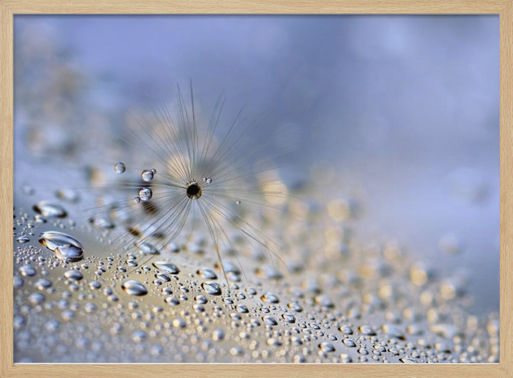 Crawling down | Poster