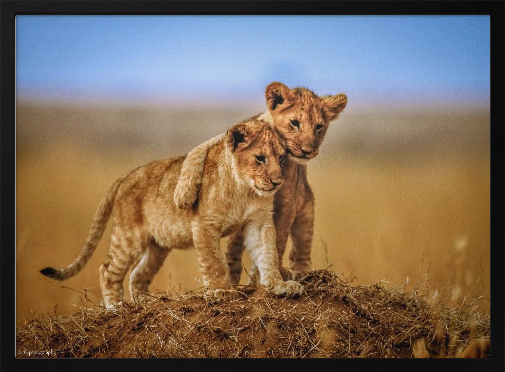 Brothers for Life | Poster